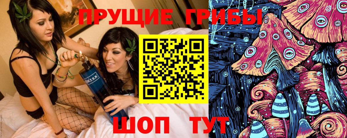 Галлюциногенные грибы Psilocybine cubensis Реж